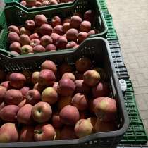 Первый сорт, в Баксане