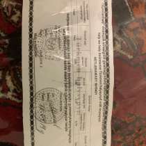 Туркменский ковер, в Москве