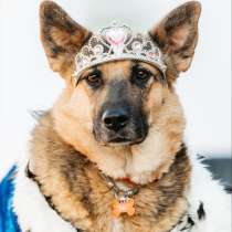 Заметьте Тиночку!, в Москве