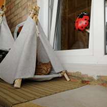 Домик для кошки, в Омске