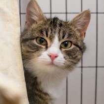 Любознательная Марьяна мечтает обрести надежного друга, в Москве