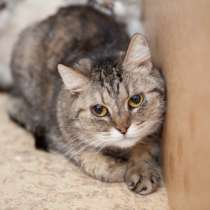 Осторожная Мила в ожидании встречи с добрым человеком, в Москве