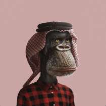 Sheikh Bored Ape, в Абакане