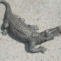 крокодил бронзовый, в Краснодаре