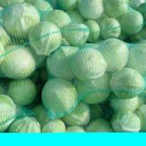 Капуста Белокочанная Оптом, в Санкт-Петербурге