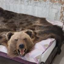 Ковёр из медведя, в Новодвинске