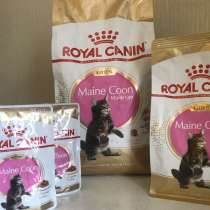 Корм Royal Canin для котят мейн-кун, в Москве