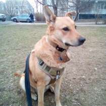 Скуба (Ника), в Москве