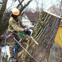 Снос домов, демонтаж зданий, спил деревьев, в Наро-Фоминске