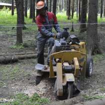 удаление опасных аварийных деревьев - кронирование - санитар, в Москве