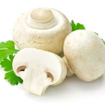 Упаковщики(ци) на шампиньены, в г.Москва