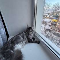 Вязка, в Нижнеудинске