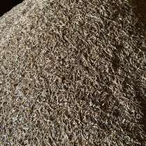 Продается семена костра, в Москве