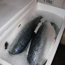 Термоконтейнеры для рыбы, в Воронеже