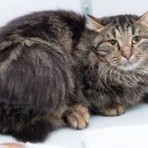 Нежный и очень нуждающийся в любви Элджей, в Москве