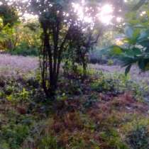 З/у 5 сот Сочи с. Верхнениколаевское, ул. Псебайская, в Сочи