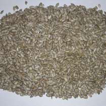 Семечки подсолнечника 25 кг калибра 3,8, в г.Одесса