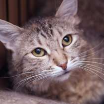 Осторожная Шанталь мечтает найти настоящую семью, в Москве