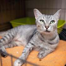 Стильная Диор мечтает о семье, в Москве