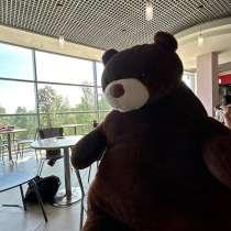 Мишка игрушка, в Сыктывкаре